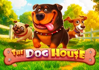 novaplay168 The Dog House ทดลองเล่นฟรี